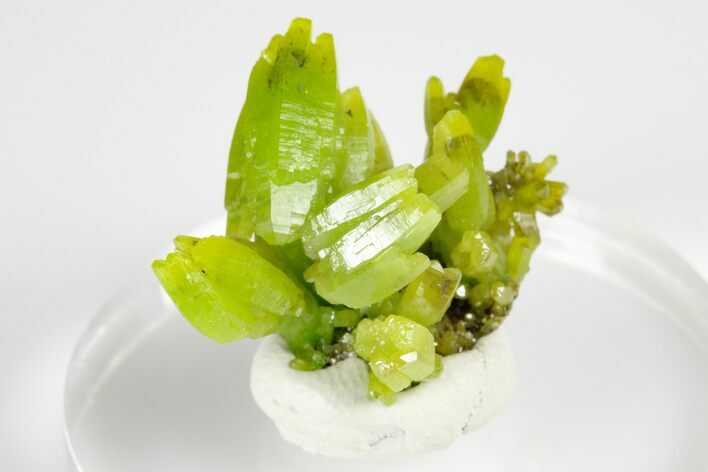 Apple-Green Pyromorphite Crystal Cluster - China #179709
